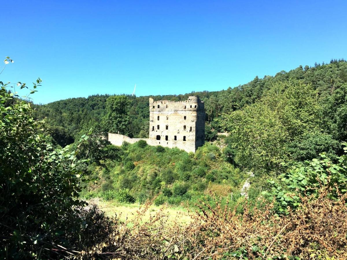 Ferienhaus Am Moselradweg Zell an der Mosel Zewnętrze zdjęcie